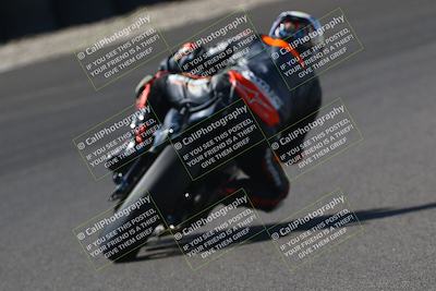 media/Sep-21-2025-TrackDaz (Sun) [[277c75b276]]/A Group/2pm (Turn 6)/